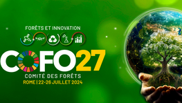 FAO - 27ème session du Comité des forêts