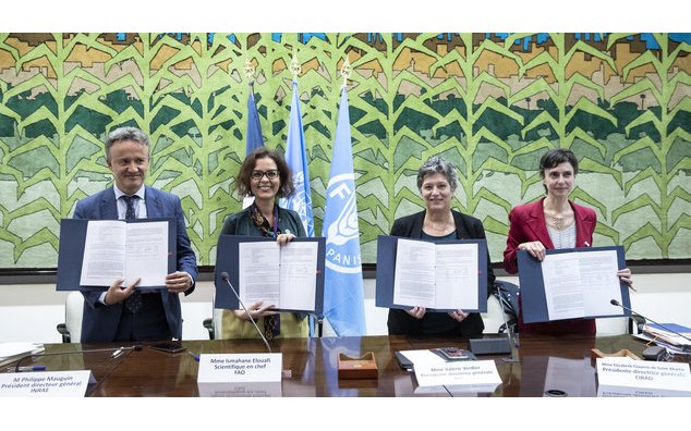 Signature du protocole entre la FAO et le Cirad, INRAE et IRD